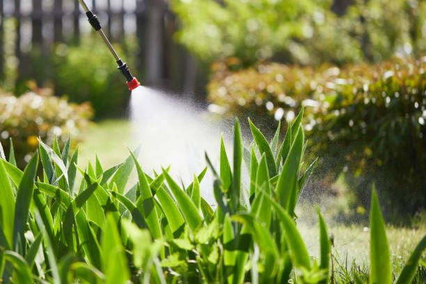 24/7 Emergency Mosquito Control experts in Fairbanks Ranch, CA