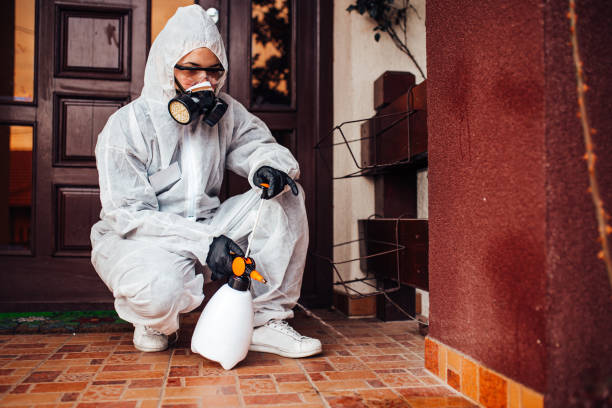 Reliable Mosquito Control contractor in Fairbanks Ranch, CA by Show Me Pest Control